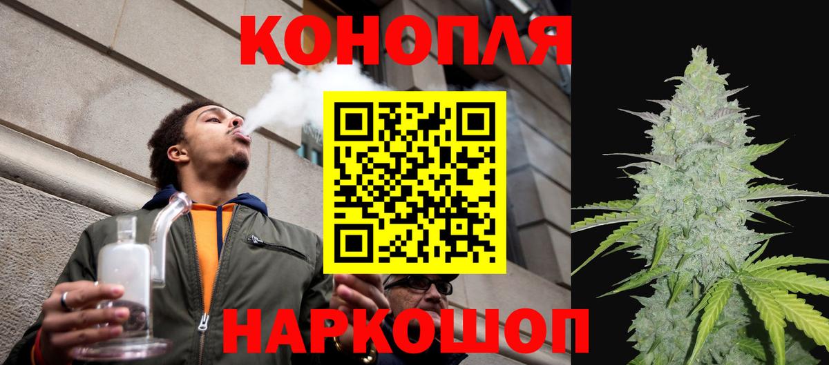 Канабис план Новокузнецк